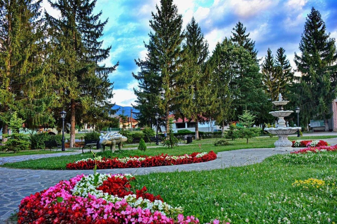 Pensiunea Salas Salasu de Sus Экстерьер фото