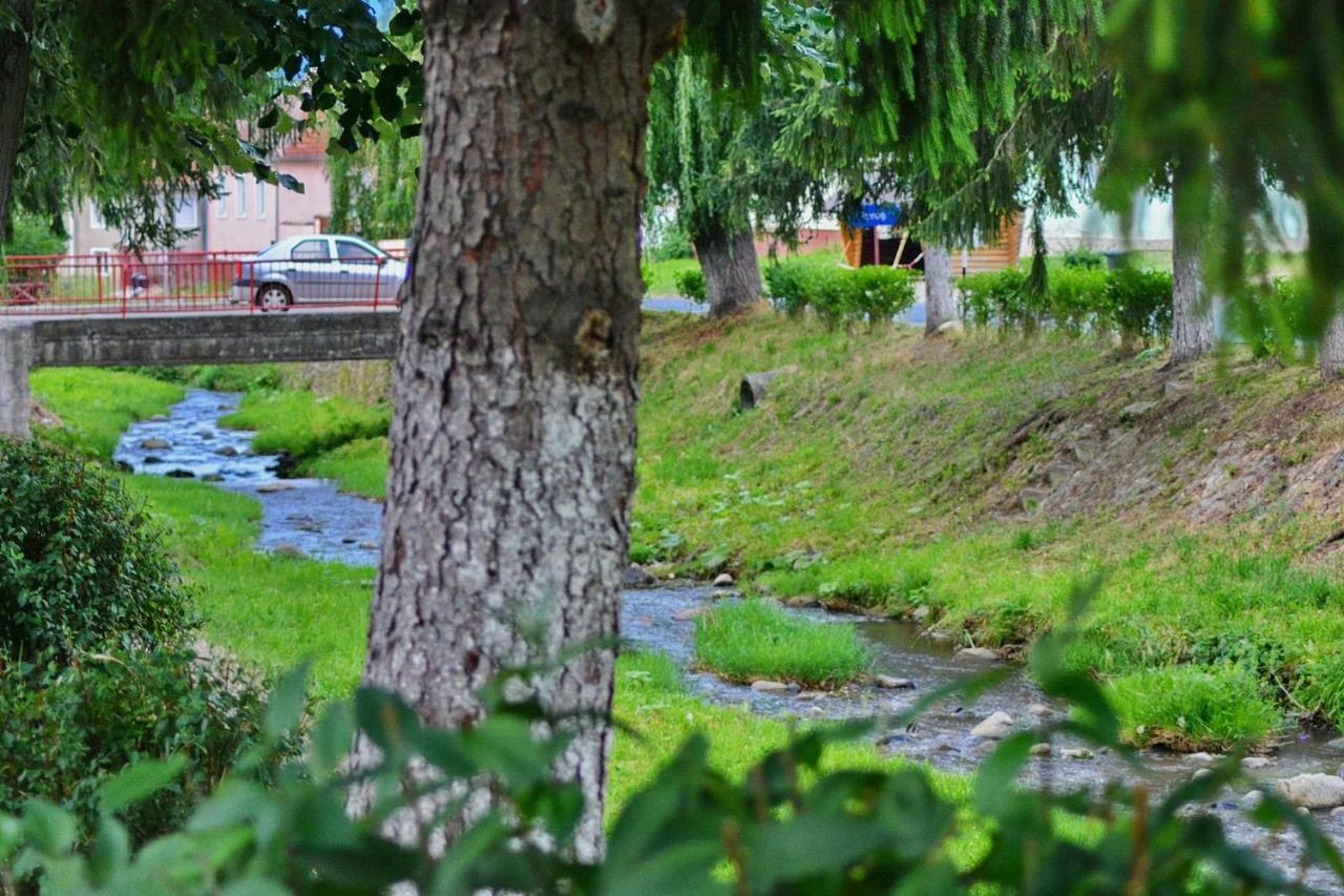 Отель Pensiunea Salas Salasu de Sus Экстерьер фото