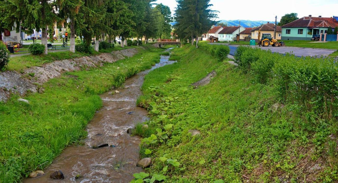 Отель Pensiunea Salas Salasu de Sus Экстерьер фото