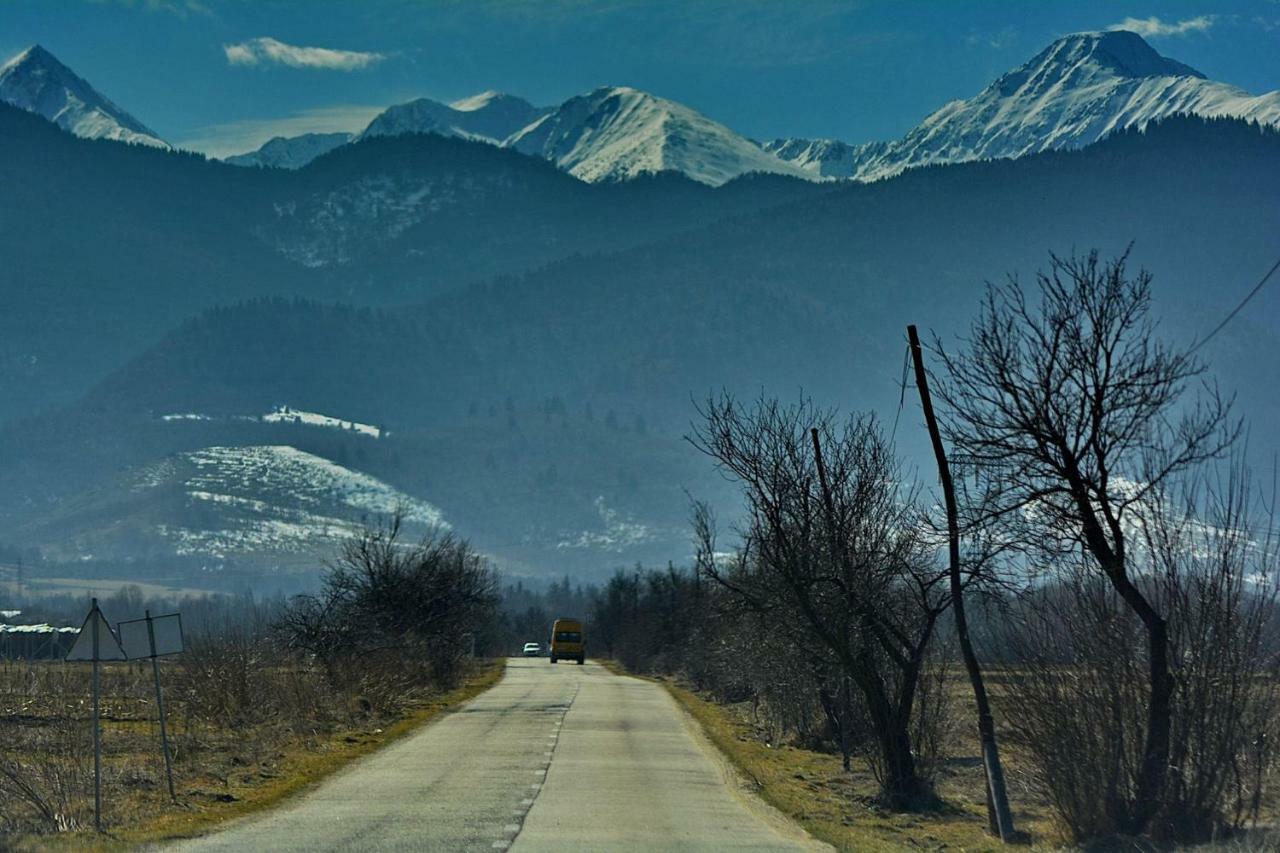 Отель Pensiunea Salas Salasu de Sus Экстерьер фото